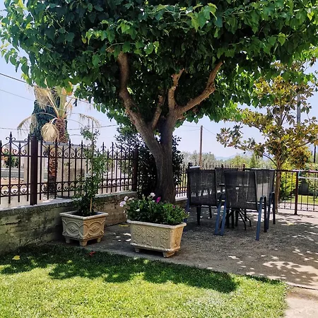 Great With A Yard * Πολιτικά